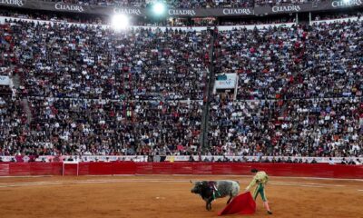 Corridas de toros en la Plaza México no se suspenderán; jueza niega amparo a colectivo
