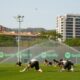 El Barça toma medidas contra la sequía
